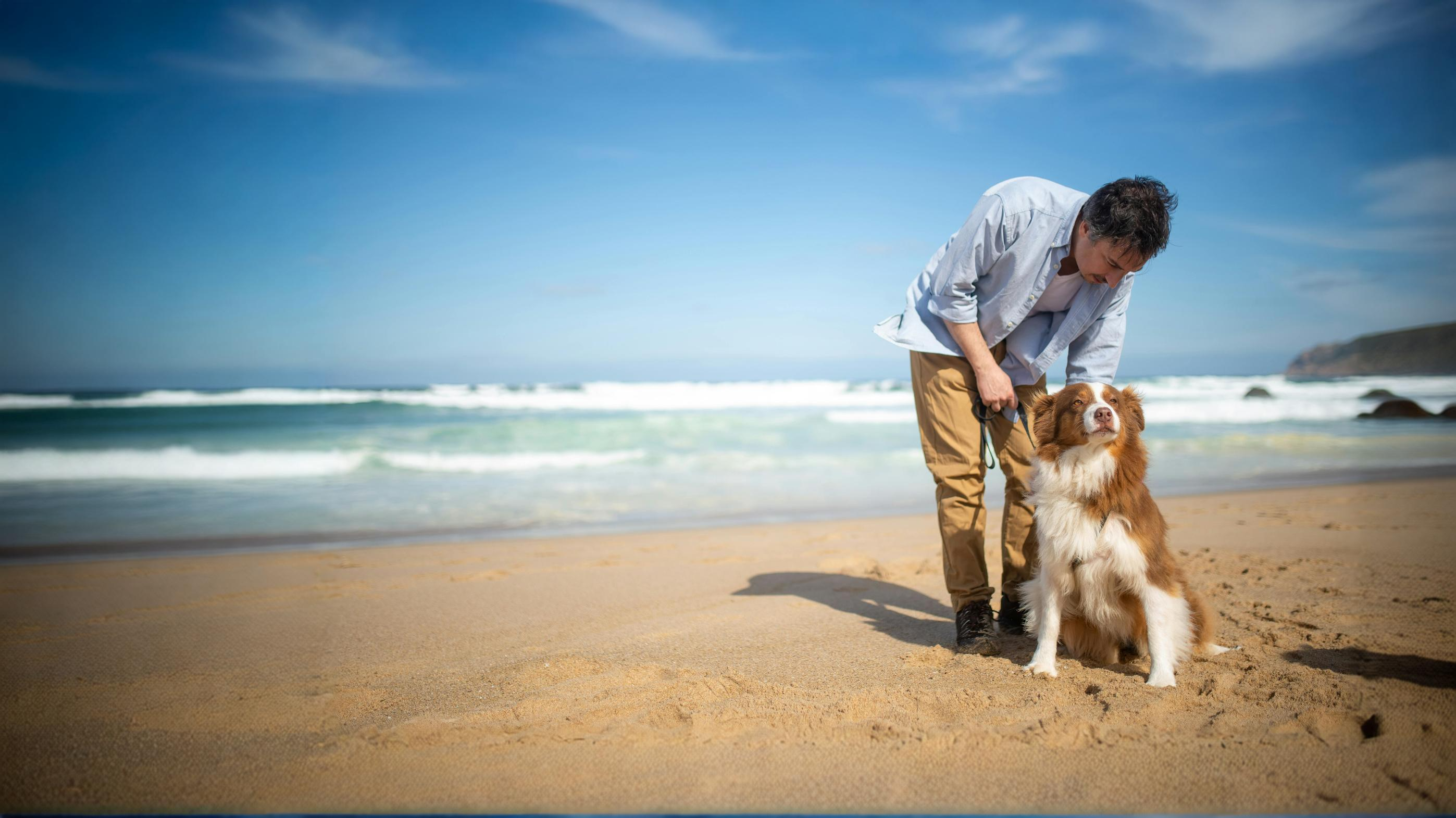 Responsible ownership in practice